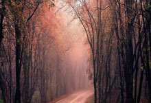 拉斯维加斯：刘炜被取代，新疆队4人受到影响.