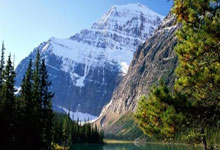 拉斯维加斯：成都商报红星新闻2小时前.