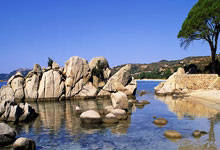 拉斯维加斯：福布斯公布2024年全球收入最高女运动员排行榜：谷爱凌、郑钦文进前五环球时报.